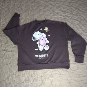 Peanuts Snoopy & Woodstock Brown Sweatshirt